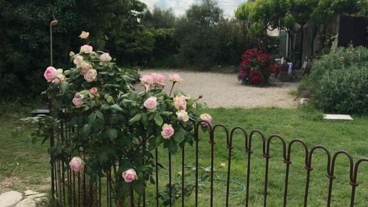 Photo of Outdoor in Senas
