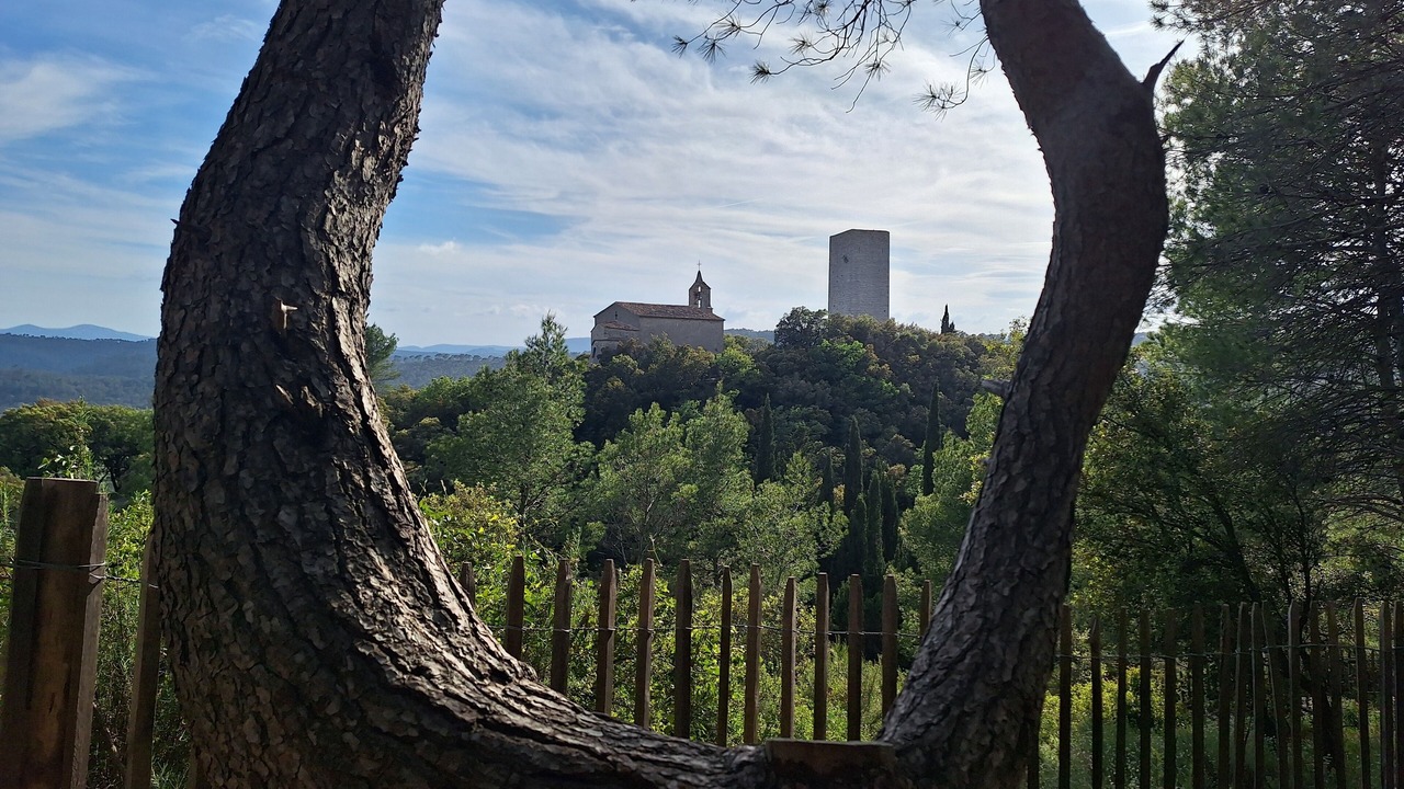 Photo of Others in Taradeau