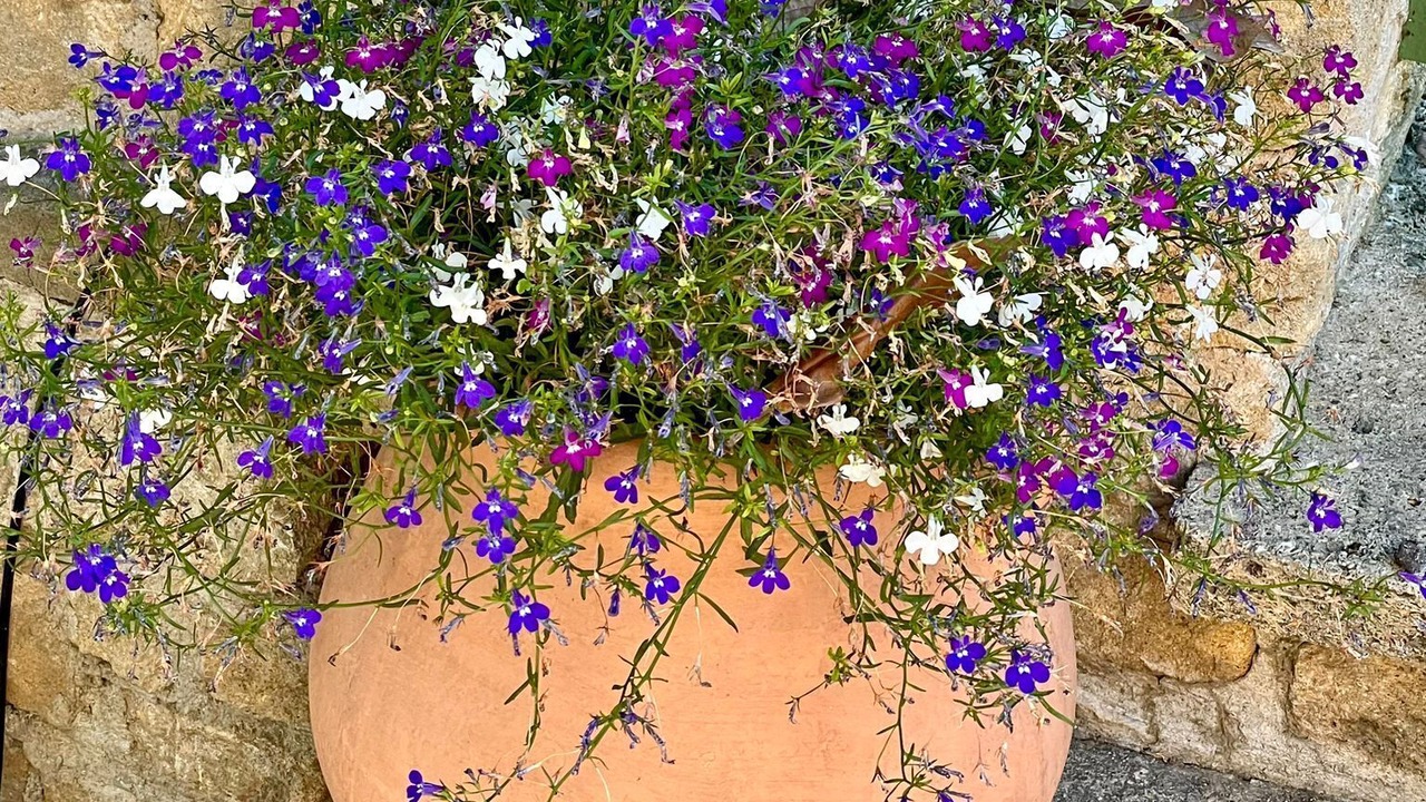 Photo of Outdoor in Salon-de-Provence