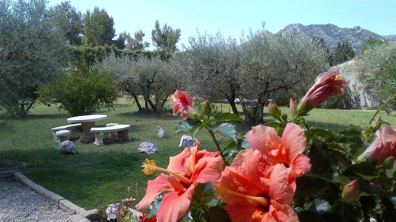 Photo of Outdoor in Eygalieres