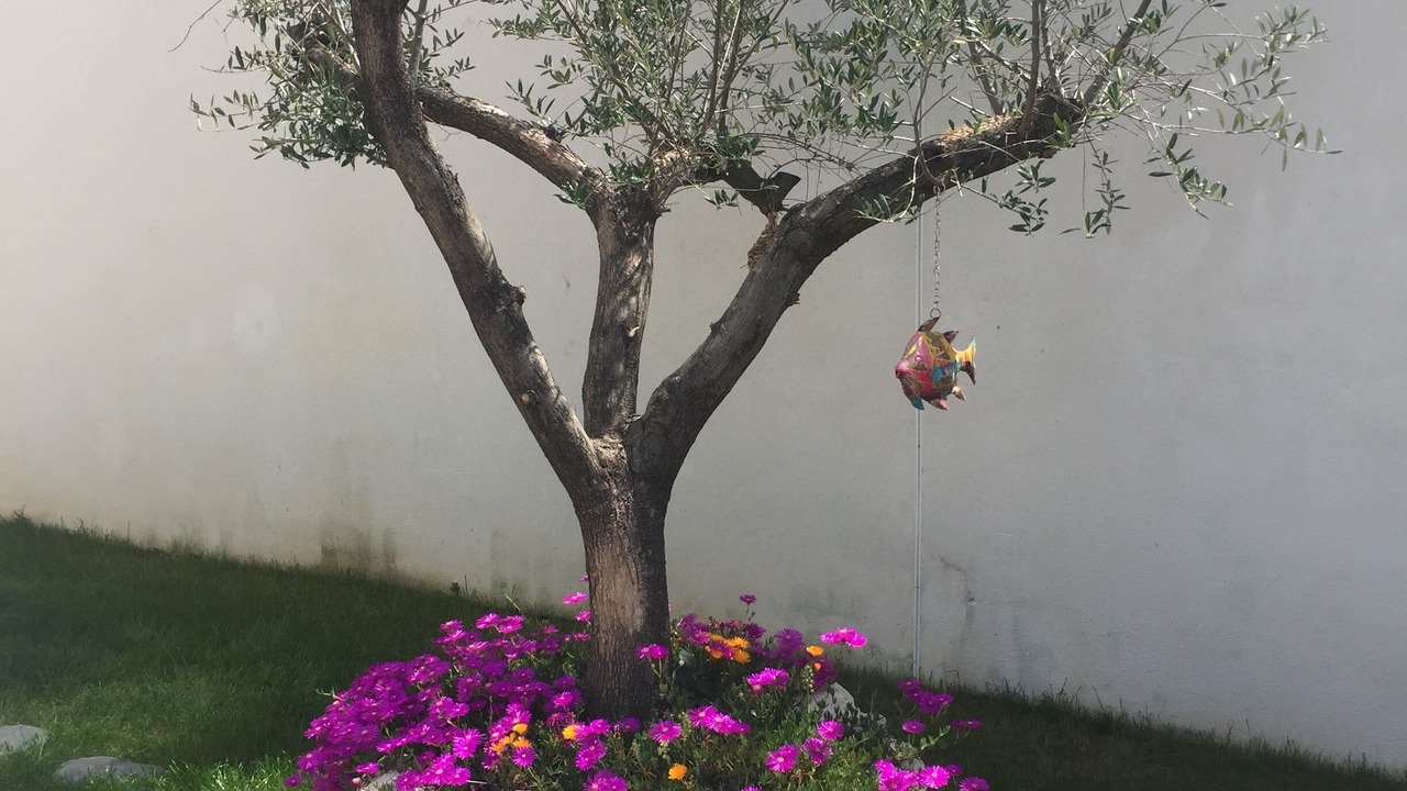 Photo of Outdoor in Aigues-Vives
