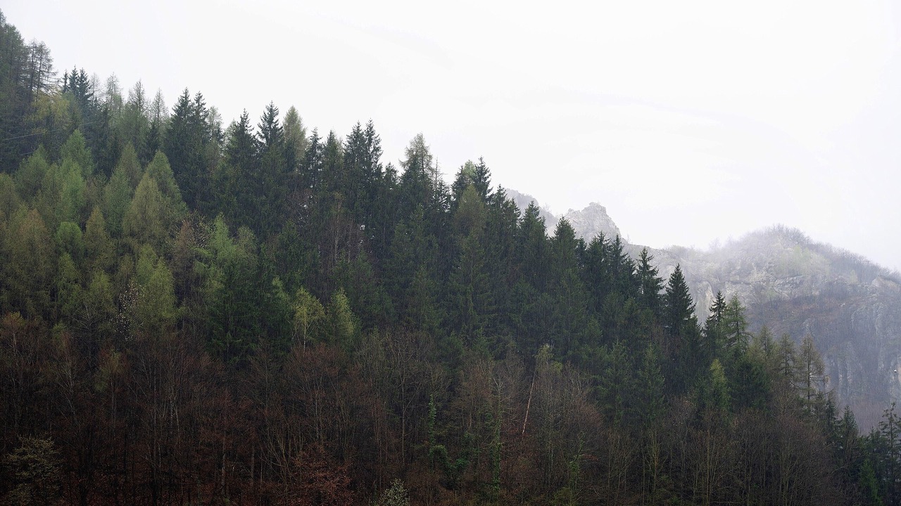 Photo of Others in Vernante