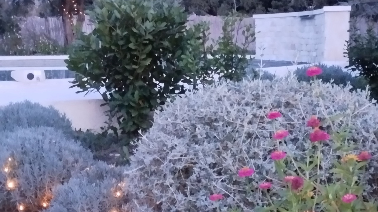 Photo of Outdoor in Le Thor
