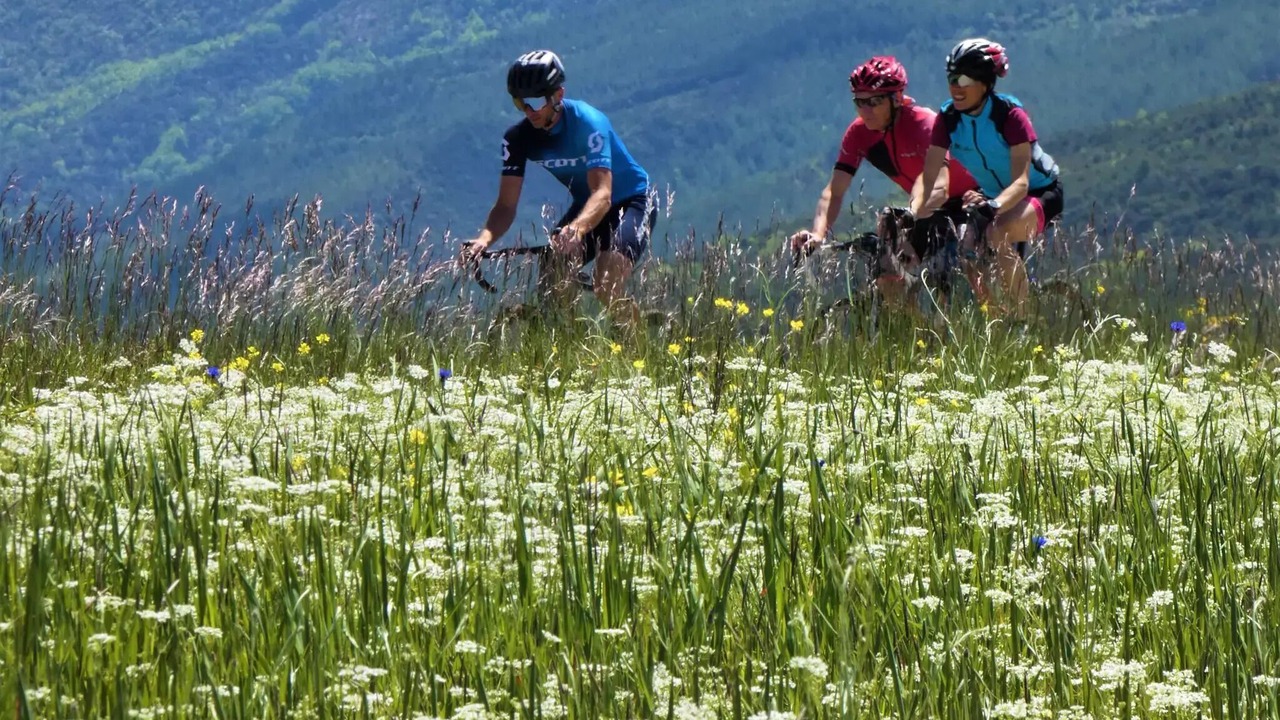 Photo of Others in Sisteron