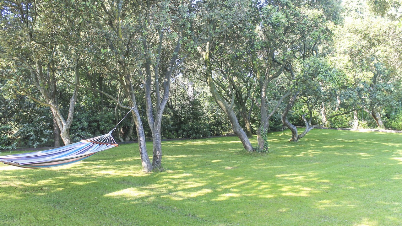 Photo of Outdoor in Eyragues