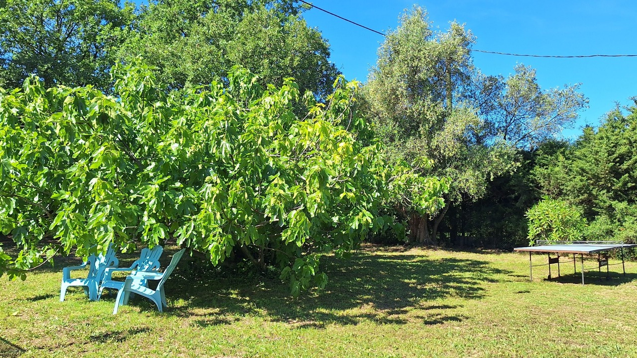 Photo of Outdoor in Bagnols-en-Foret