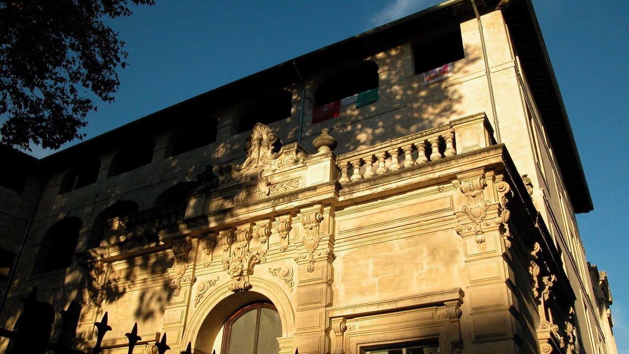 Photo of Others in Avignon City Centre