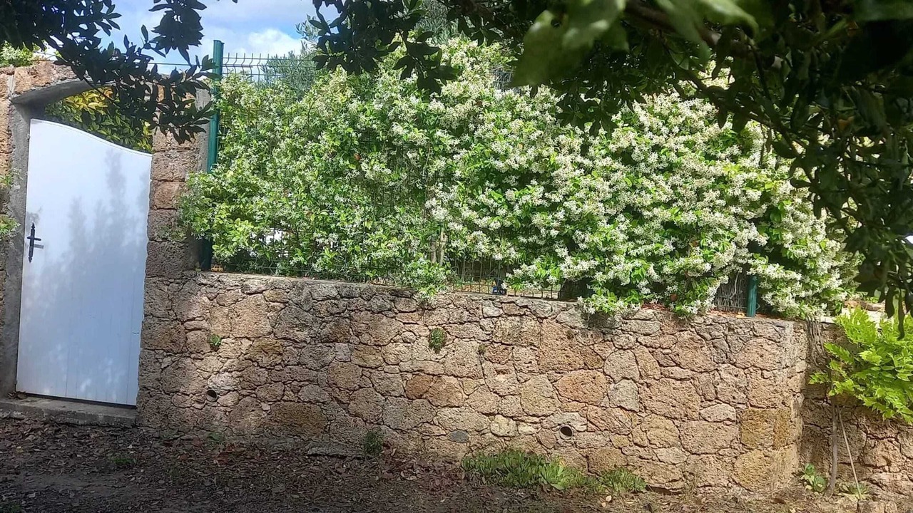 Photo of Outdoor in Villecroze