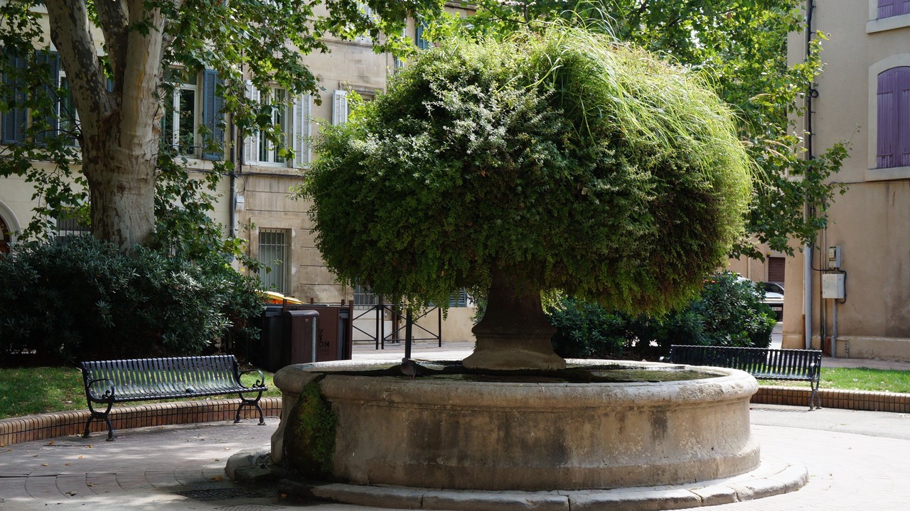 Photo of Outdoor in Salon-de-Provence