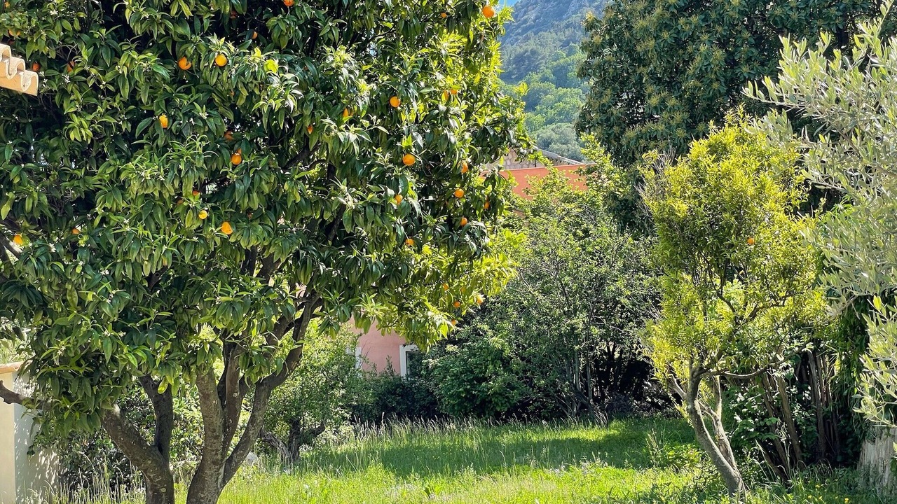 Photo of Outdoor in Gorbio