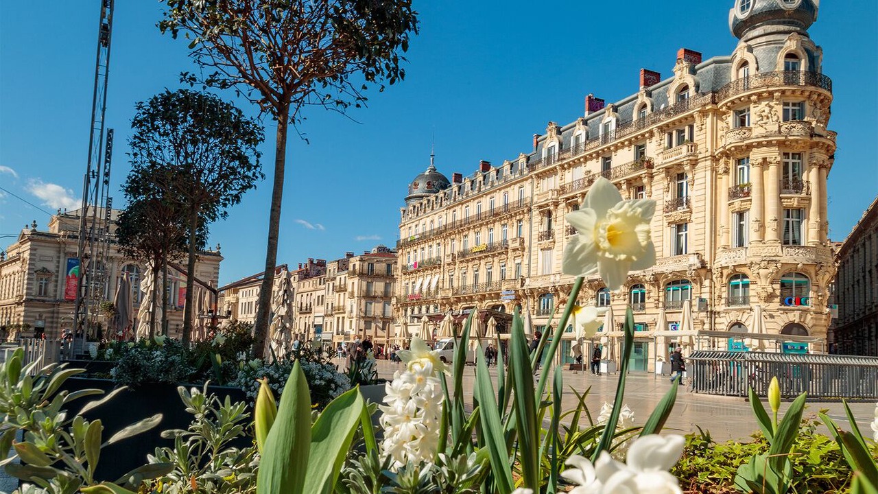 Photo of Outdoor in Montpellier City-Centre