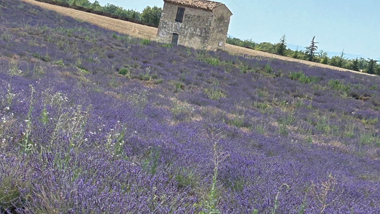 Photo of Outdoor in Montmeyan
