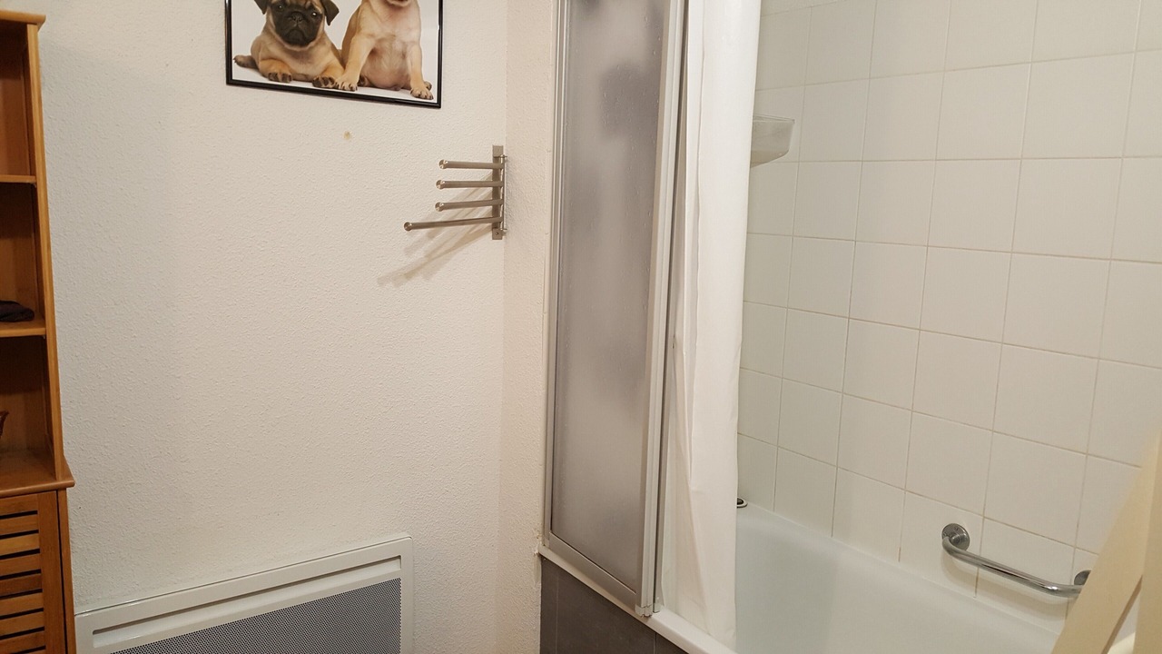 Photo of Bathroom in Puy-Saint-Vincent