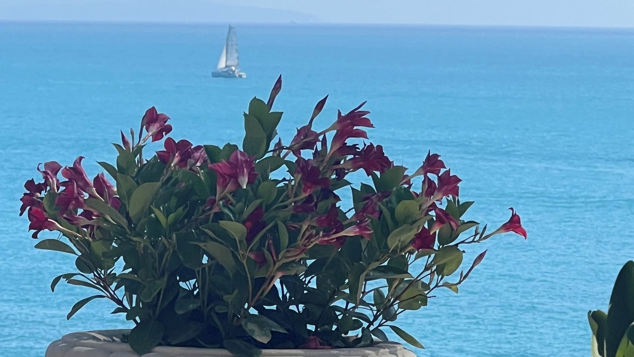 Photo of Outdoor in Cap-d'Antibes
