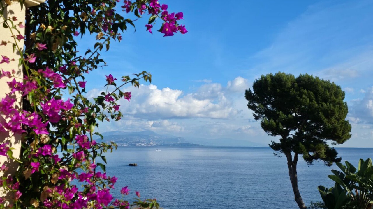 Photo of Outdoor in Cap-d'Antibes