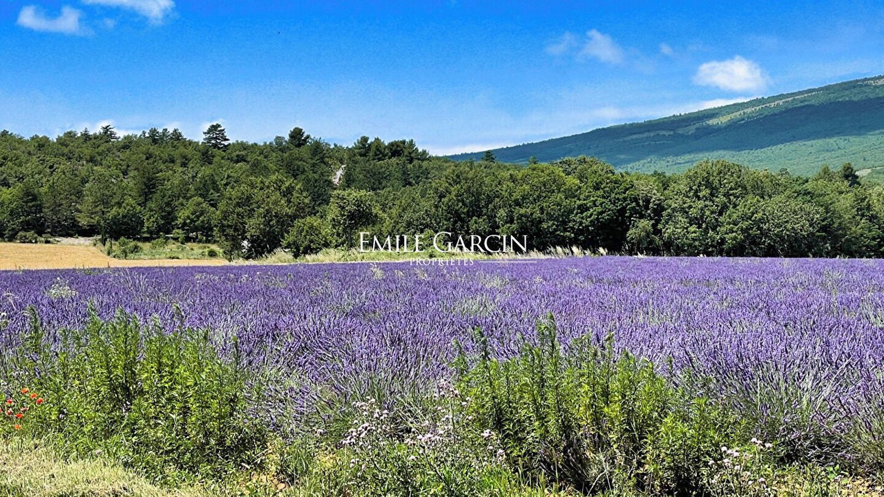 Photo of Others in Chateauneuf-Val-Saint-Donat