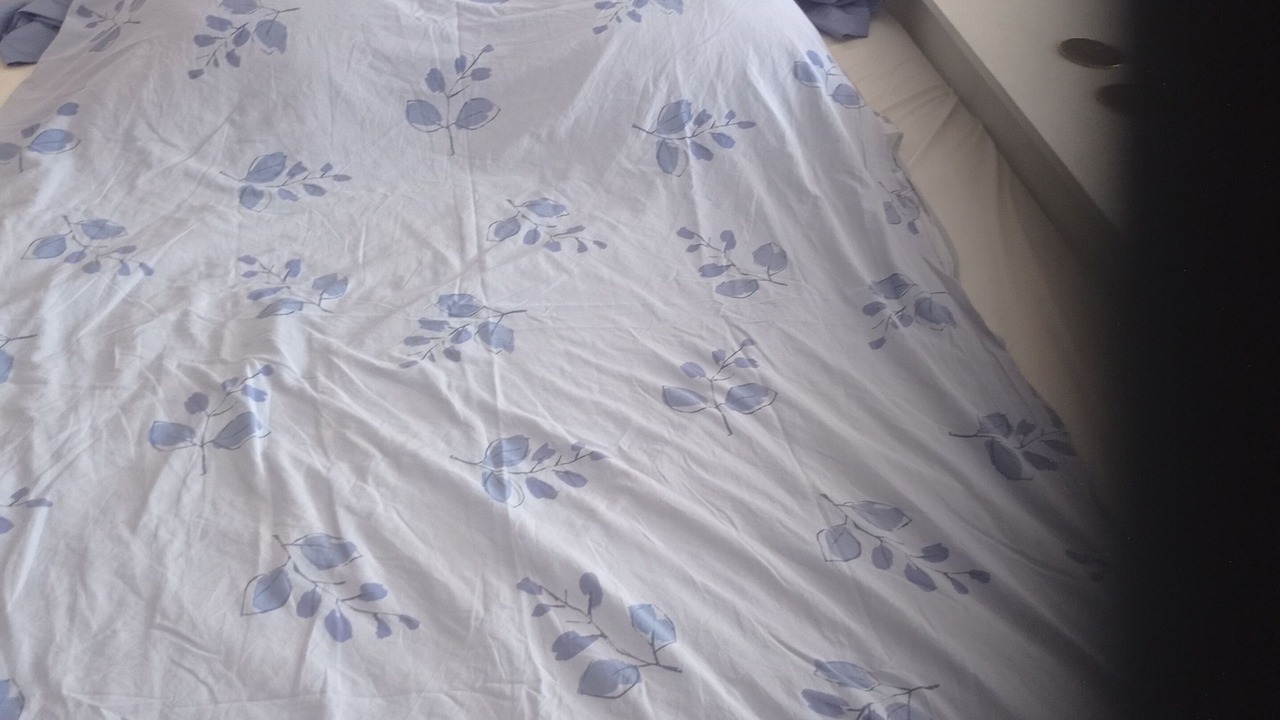 Photo of Bedroom in Les Arceaux