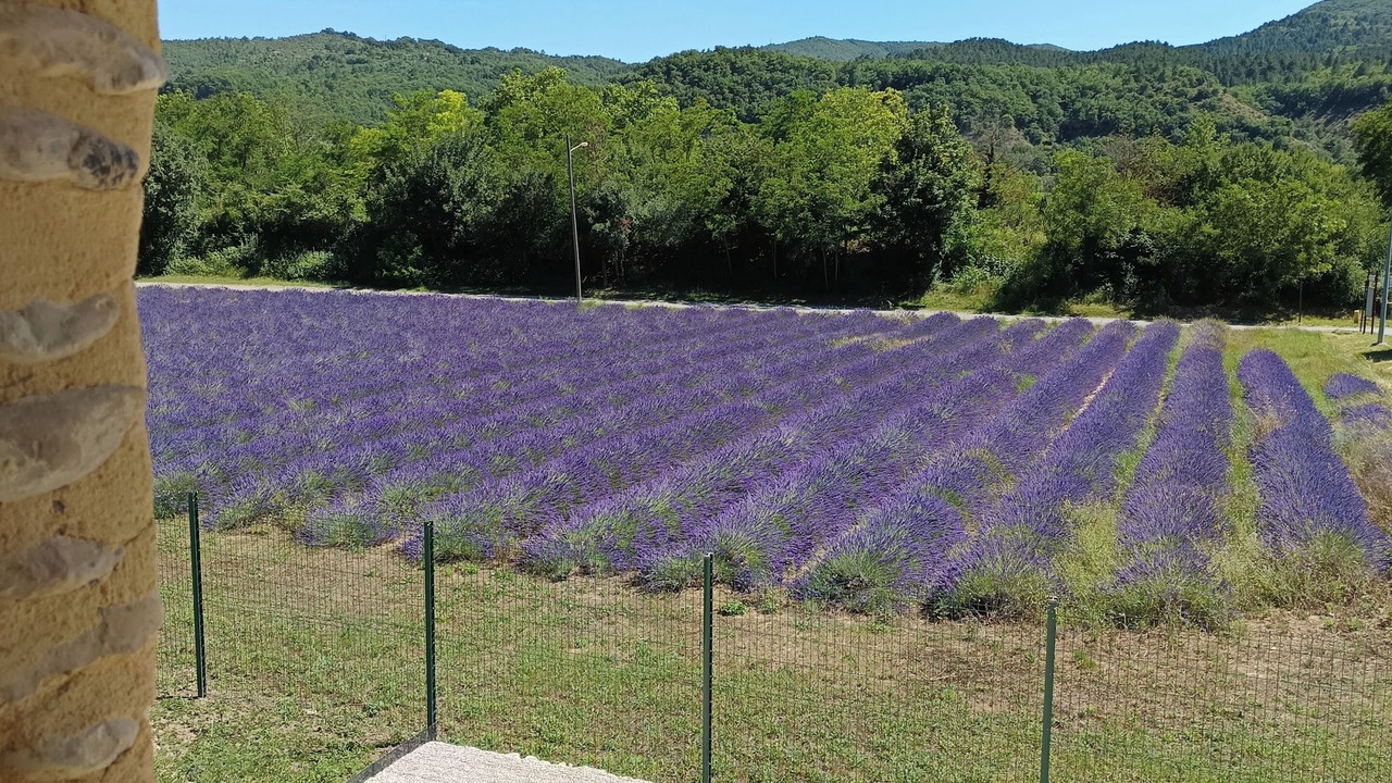 Photo of Outdoor in Malijai