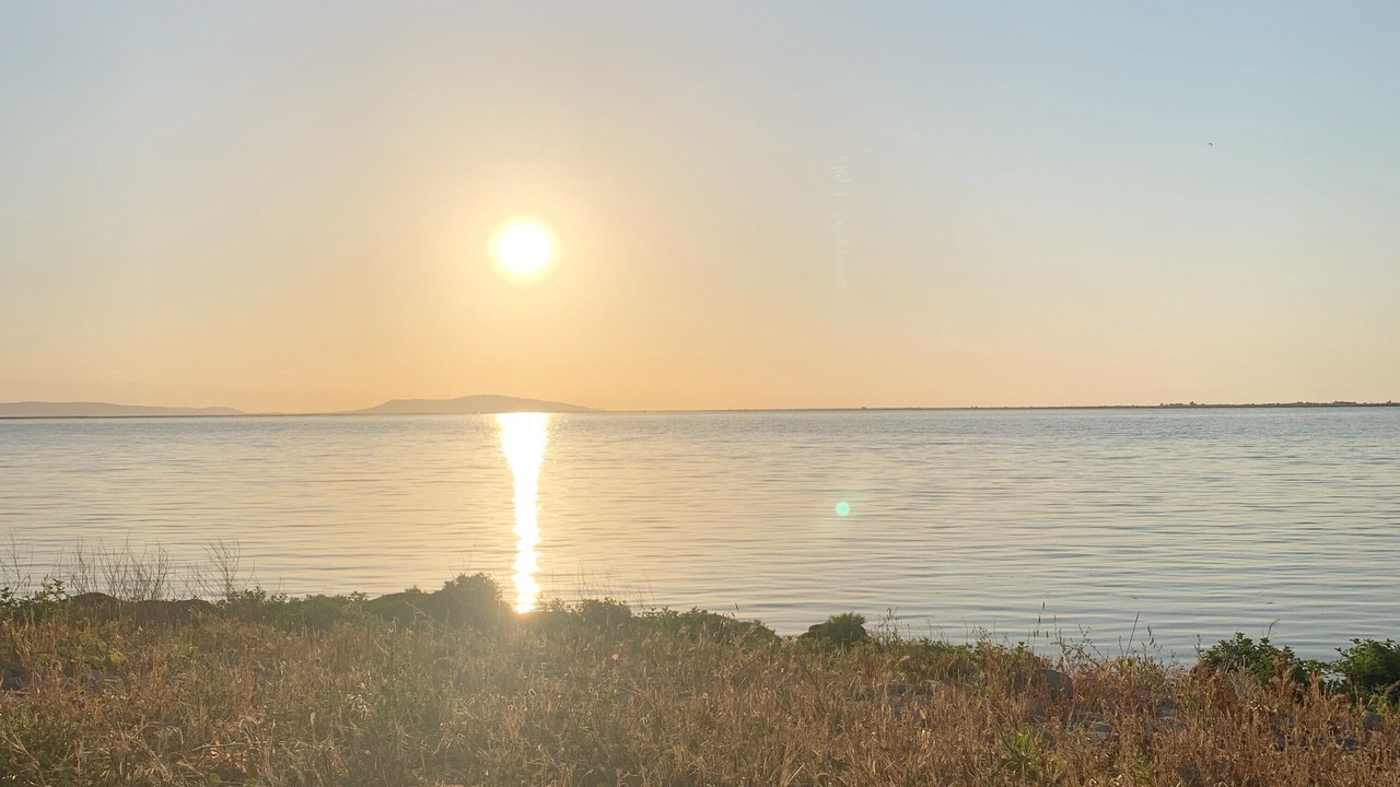 Photo of Others in Marseillan
