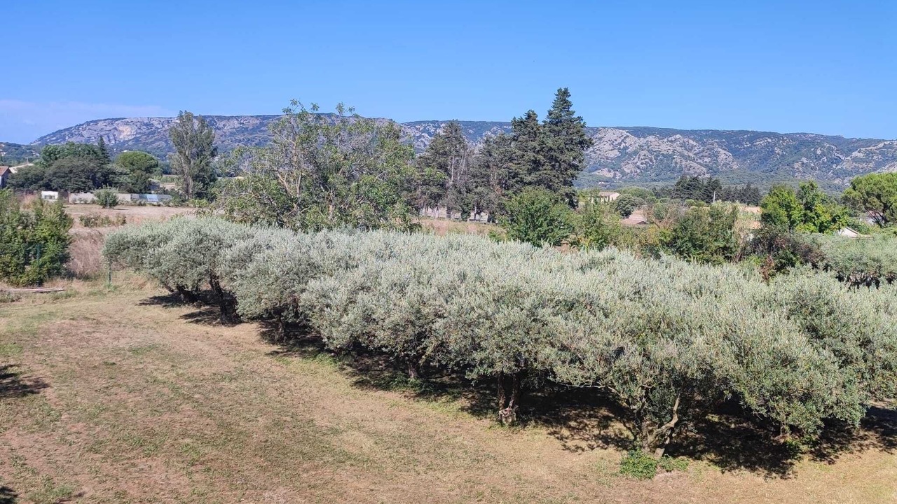 Photo of Outdoor in Cheval-Blanc
