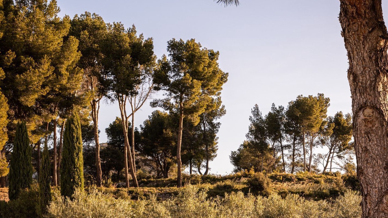 Photo of Outdoor in Maussane