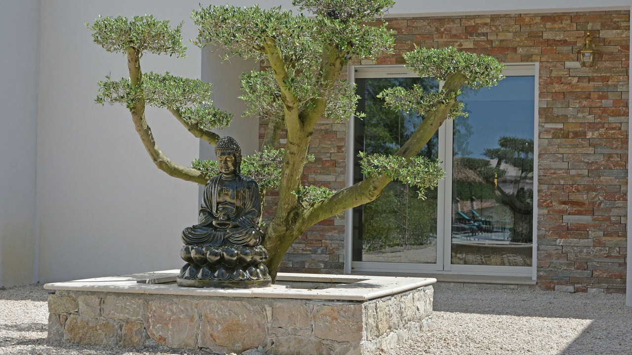 Photo of Outdoor in Montauroux