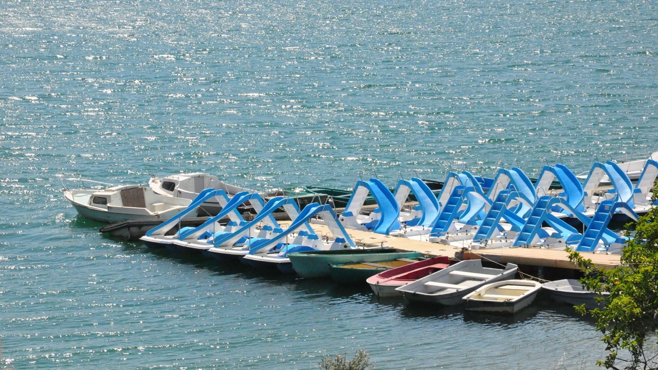 Photo of Others in Montauroux