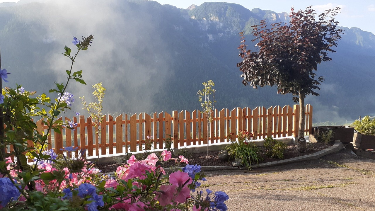 Photo of Outdoor in Male