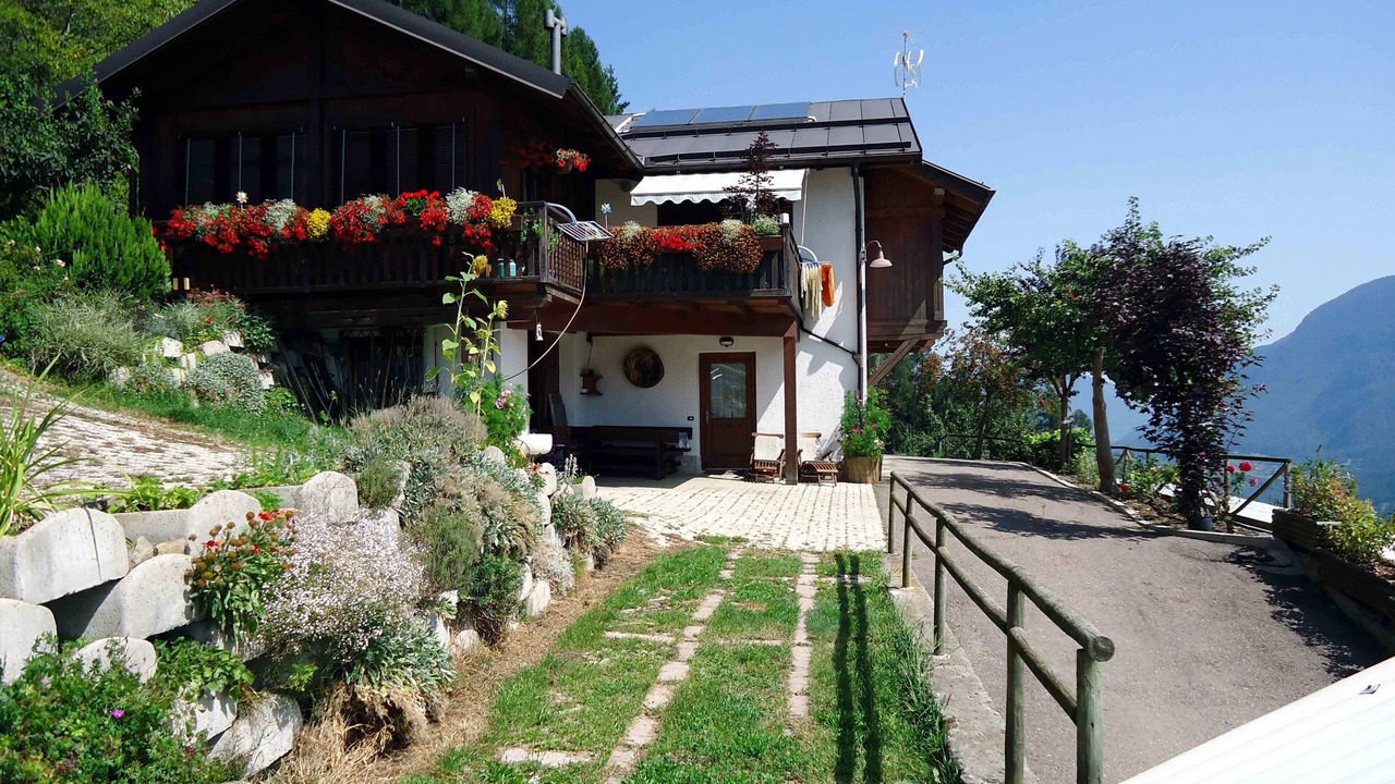 Photo of Outdoor in Male