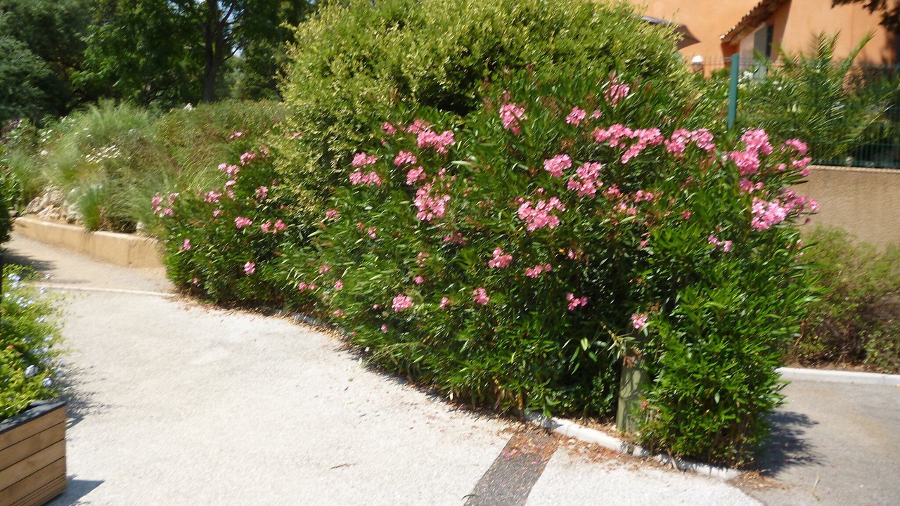 Photo of Outdoor in Les Restanques