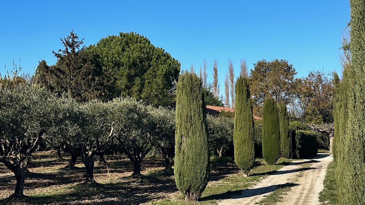 Photo of Outdoor in Eygalieres