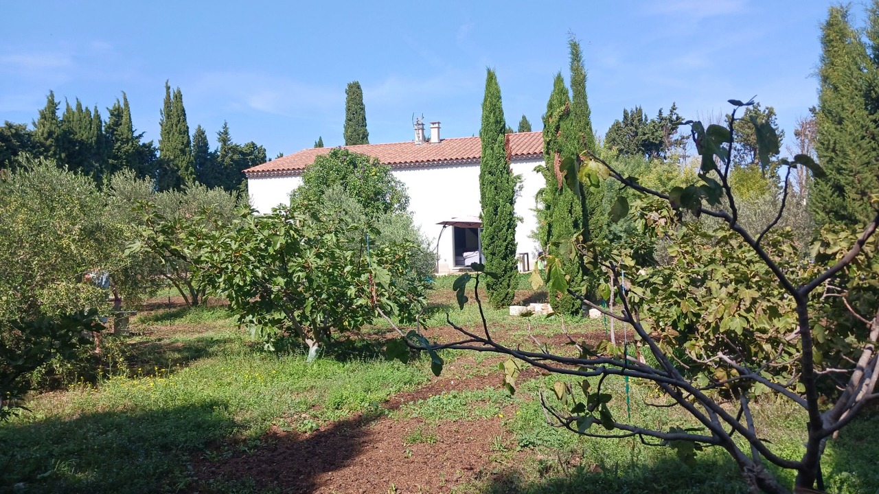 Photo of Outdoor in Arles
