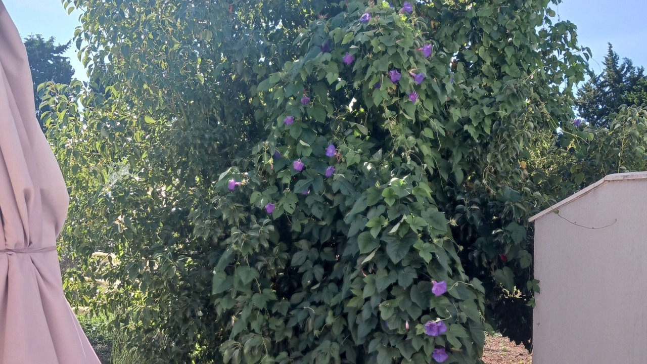 Photo of Outdoor in Arles