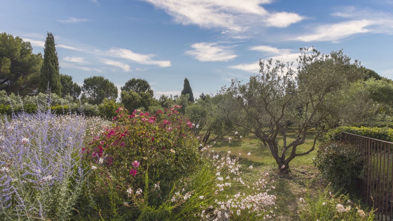 Photo of Outdoor in St.-Remy-de-Provence
