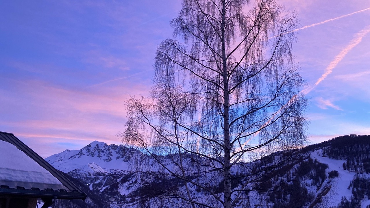 Photo of Others in Vars