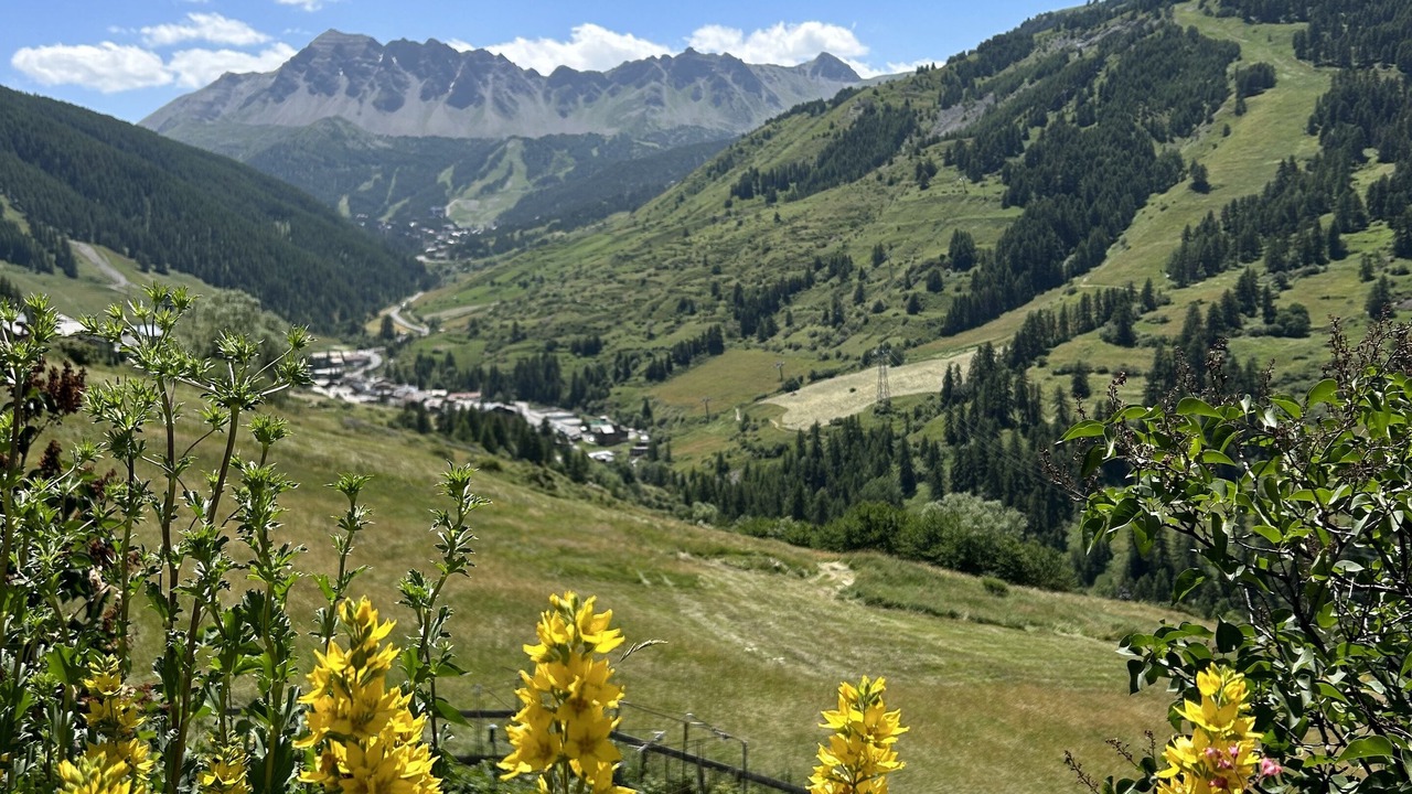 Photo of Others in Vars