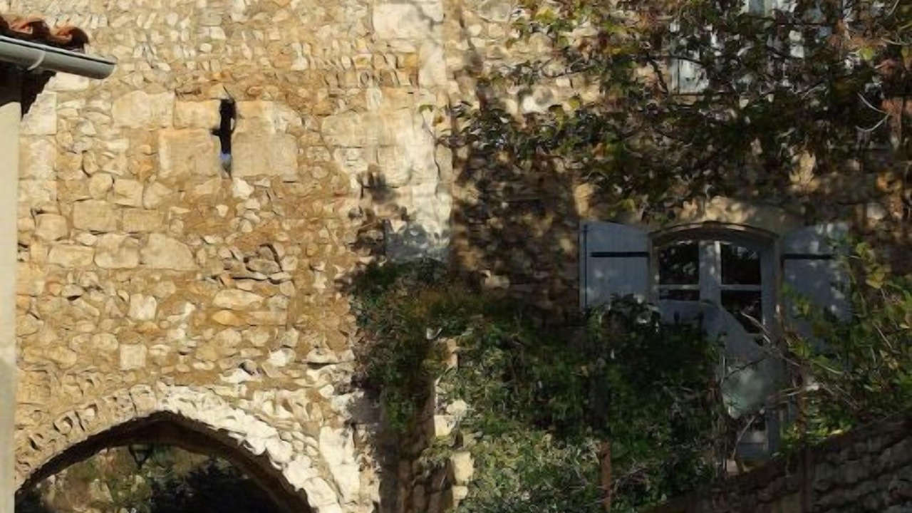 Photo of Others in Orgon