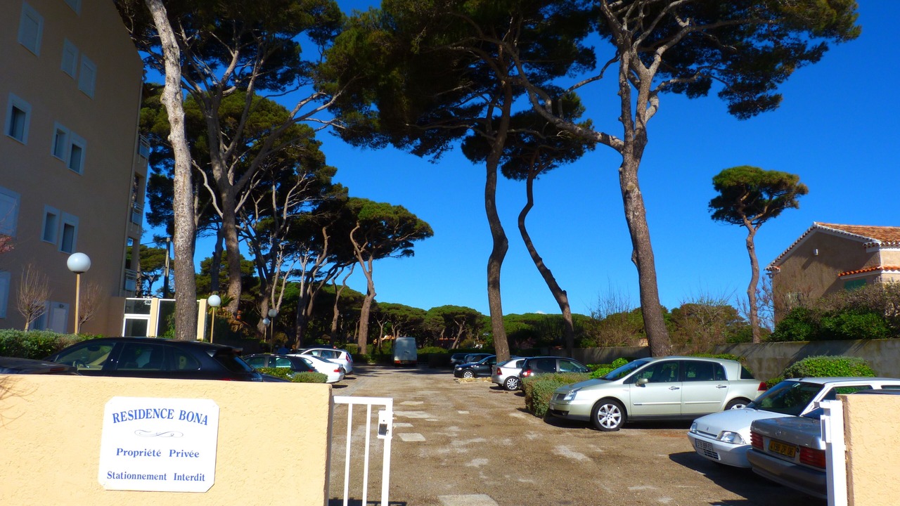 Photo of Others in Hyeres
