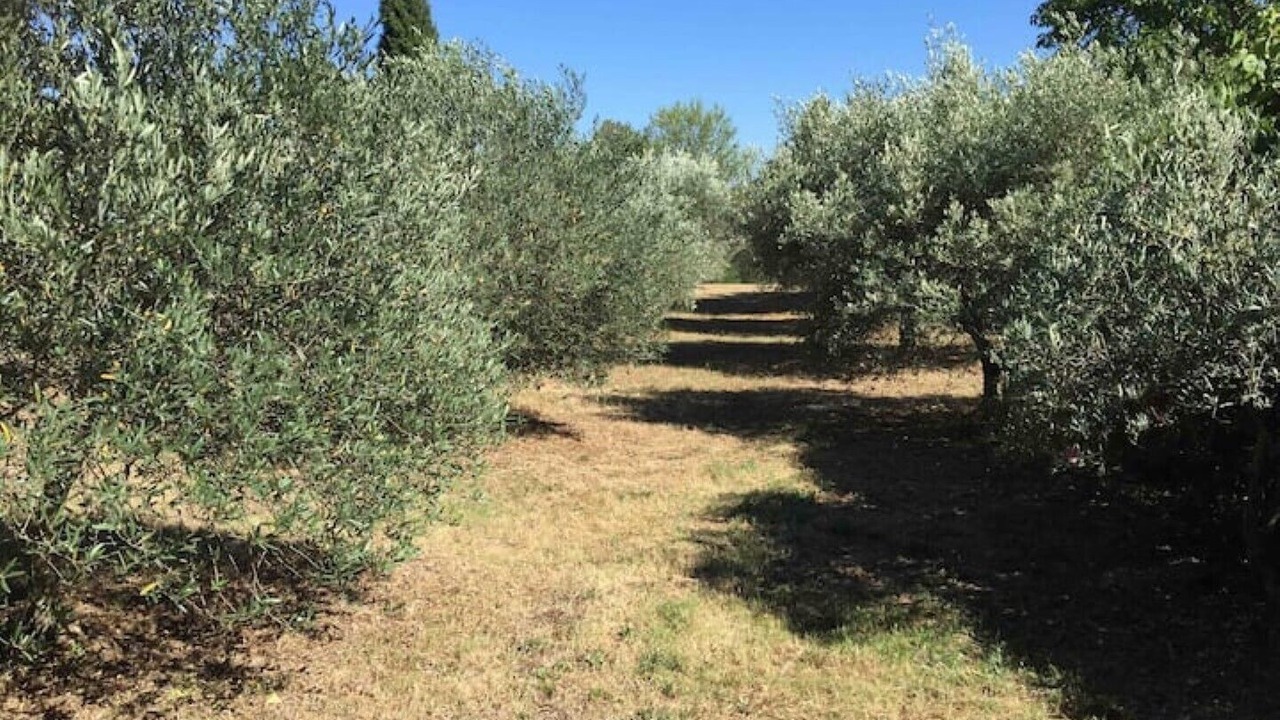 Photo of Outdoor in Cotignac