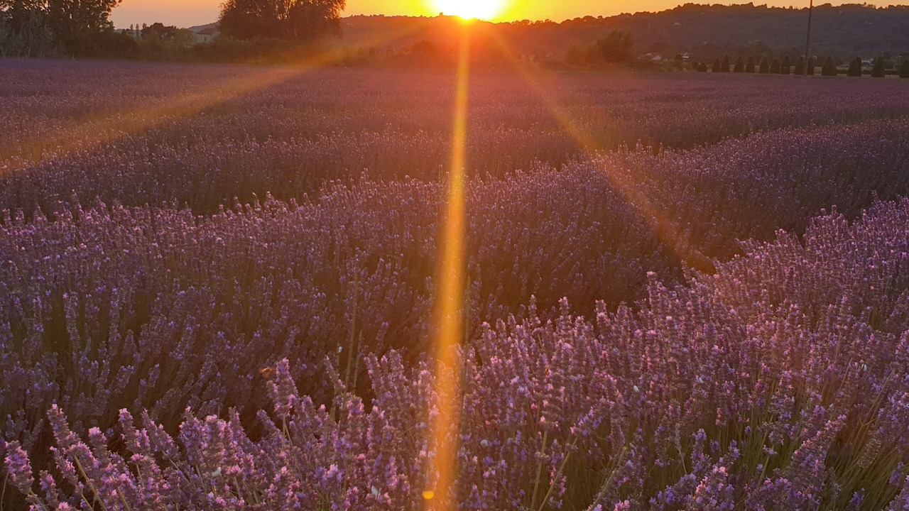 Photo of Outdoor in Bonnieux