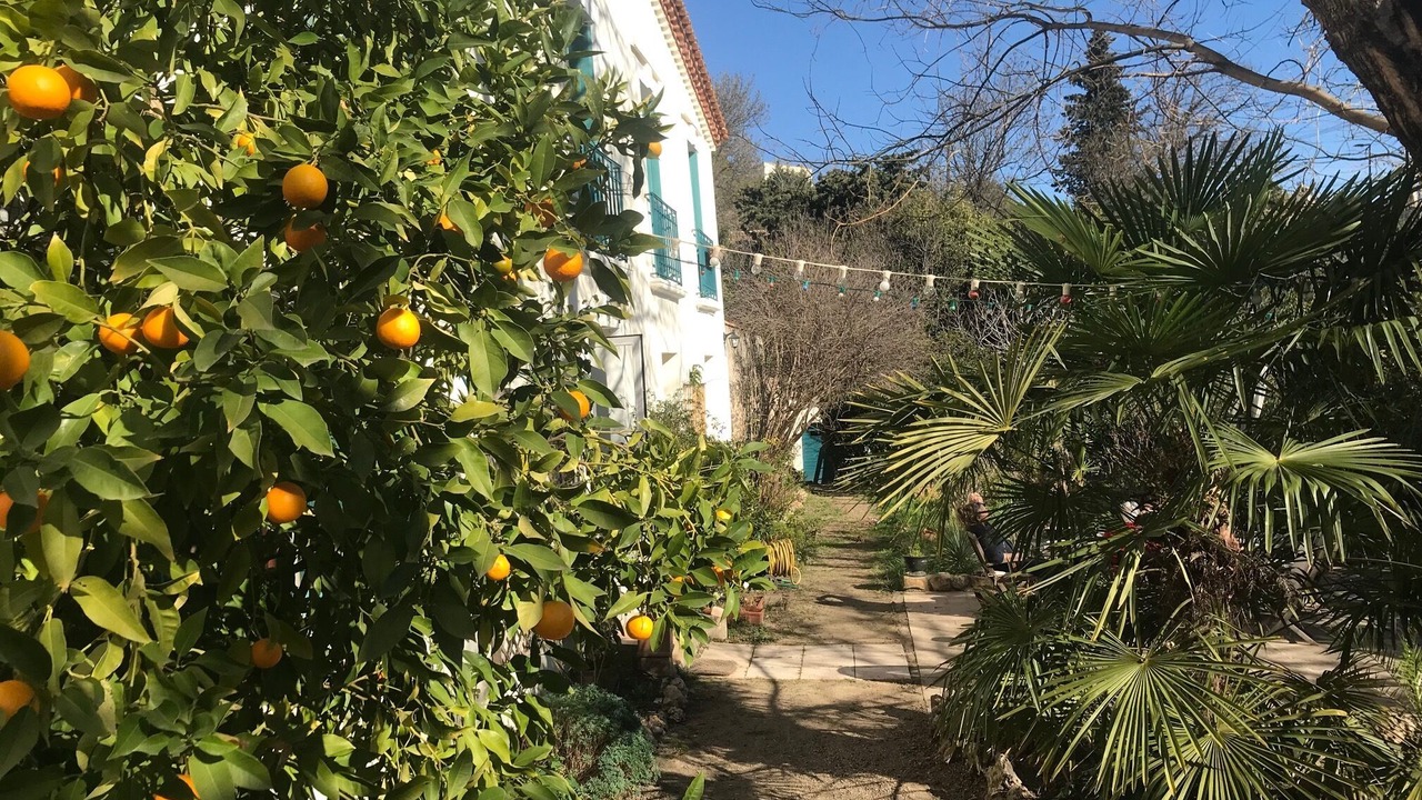 Photo of Outdoor in Peret