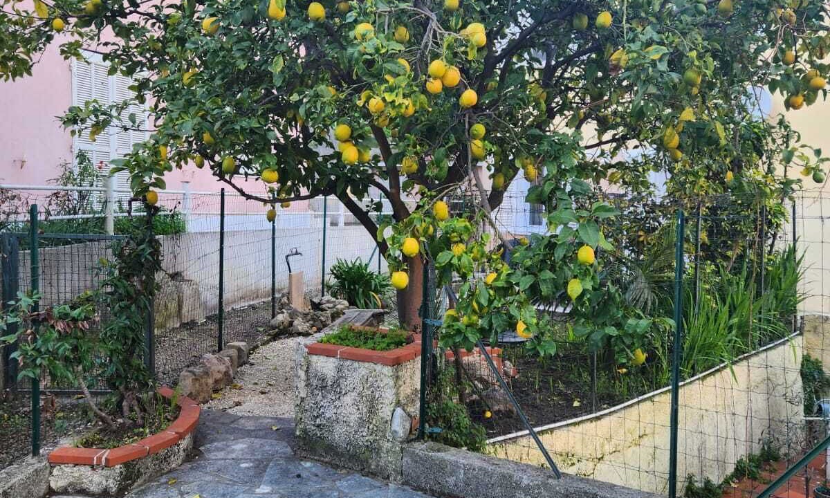 Photo of Outdoor in Menton