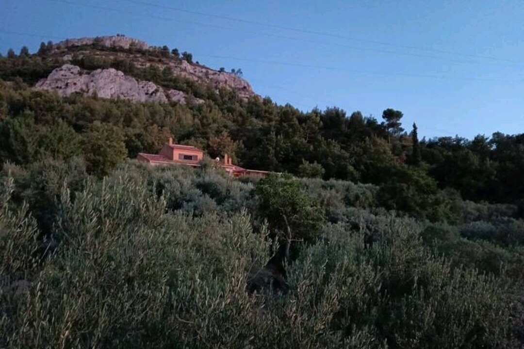 Photo of Others in Simiane-Collongue