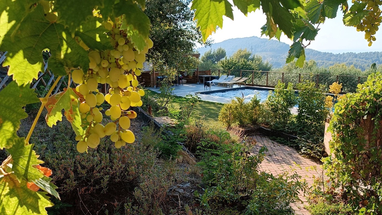 Photo of Patio Balcony in Simiane-Collongue