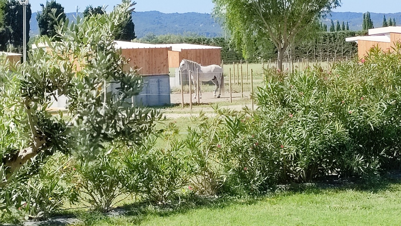 Photo of Others in Maillane