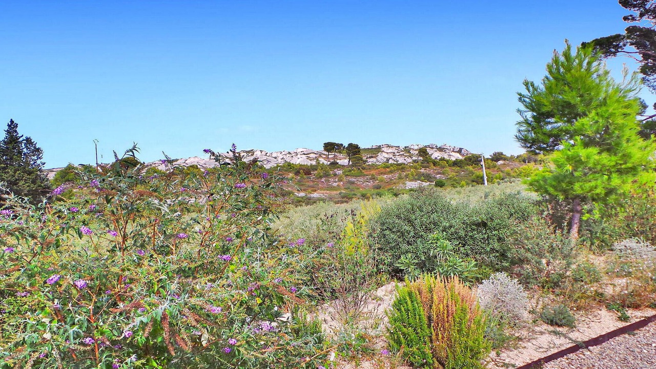 Photo of Others in Maussane-les-Alpilles
