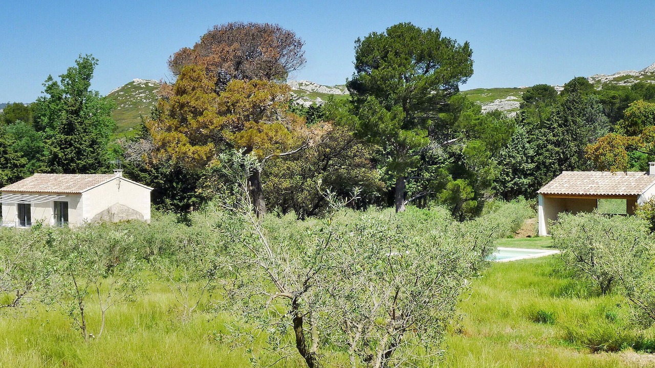 Photo of Others in Maussane-les-Alpilles