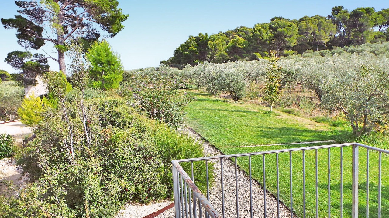 Photo of Others in Maussane-les-Alpilles