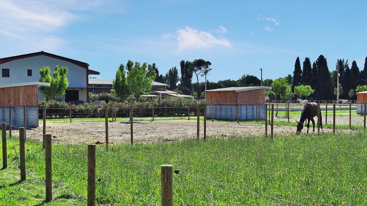 Photo of Others in Maillane