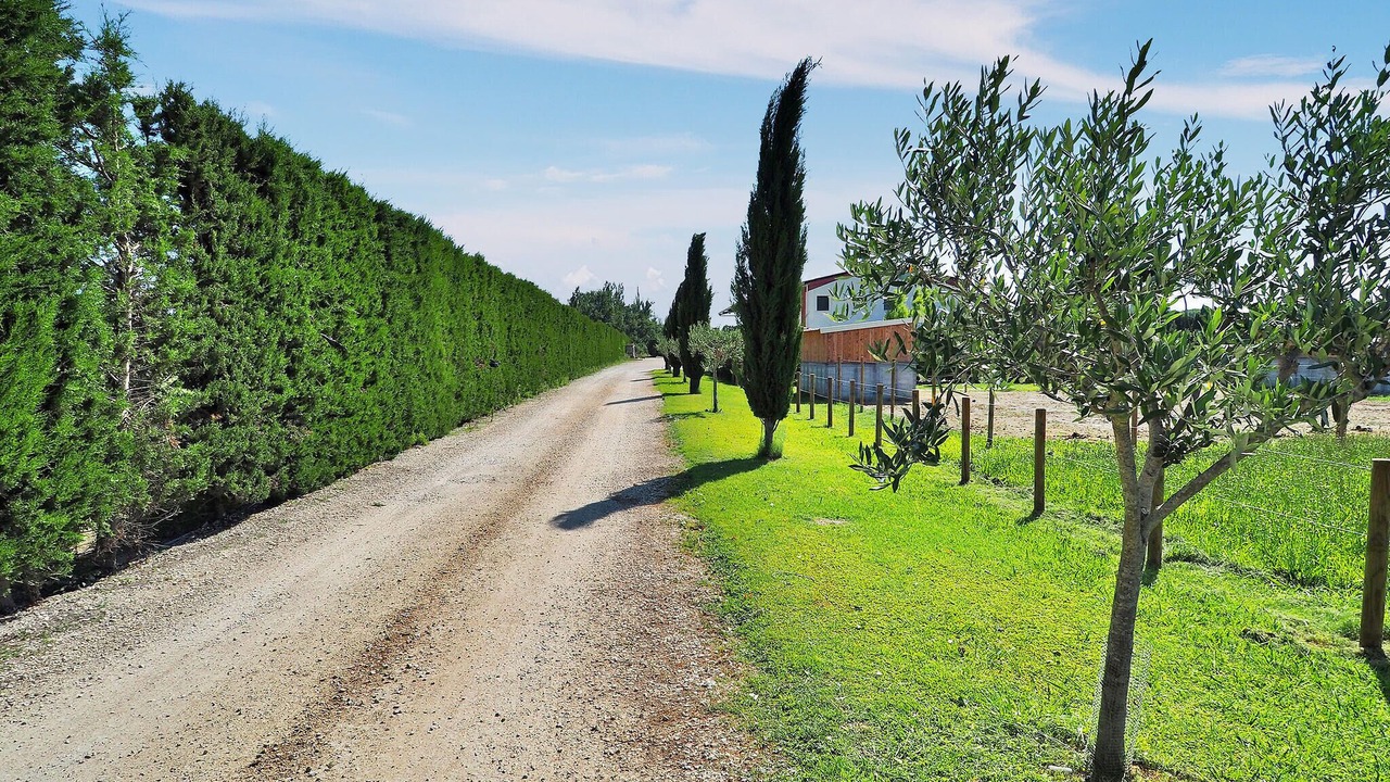 Photo of Others in Maillane